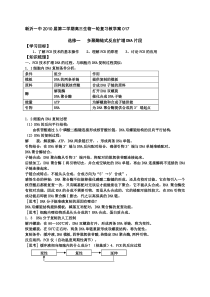 苏教版教学教案考点6多聚酶链式反应扩增DNA片段