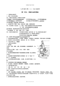 苏教版生物会考复习提纲