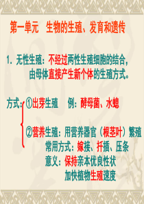 苏教版生物八年级上期中知识点复习