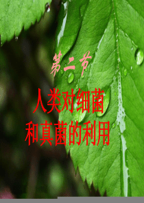 第二节人类对细菌和真菌的利用说课,