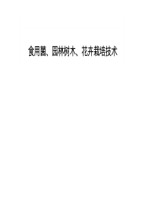 软件专业技术资格网络工程师全真模拟试卷(一)上午试题