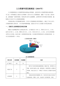 人力资源年度发展规划2018