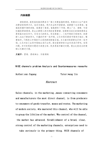 纳爱斯渠道问题分析及对策研究----文档