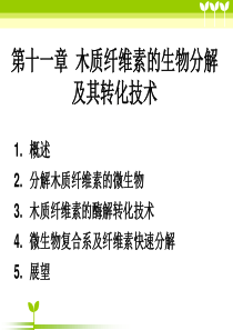 第十一章-木质纤维素的生物分解及其转化技术..