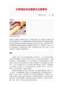 红眼病的诊治概要及注意事项