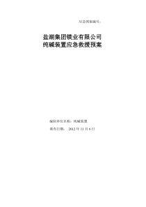 纯碱装置生产安全事故应急预案全文