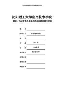 组织结构问题及解决措施