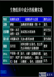 细胞内化学成分的检测实验