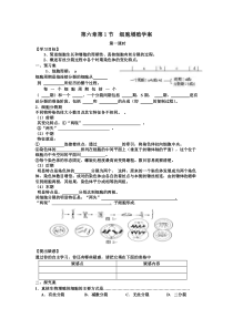 细胞增殖导学案