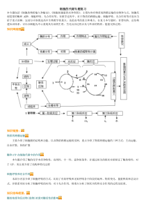 细胞的代谢专题复习