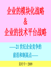 经典实用有价值企业管理培训课件：模块化战略和平台战略