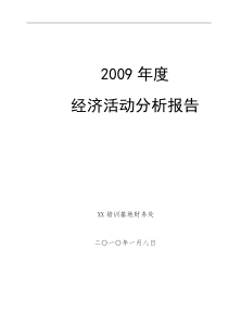 经济活动分析报告-样例