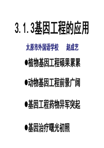 选修3专题1基因工程13基因工程的应用