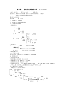 绿色开花植物的一生复习学案