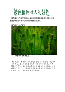 绿色植物对于改变环境和人类的健康有着非常重要的关系