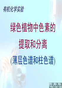 绿色植物中色素的提取和分离薄层色谱和柱色谱