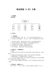 网店运营详细方案