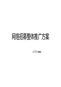 网络招商整体推广方案