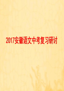 2017安徽中考语文复习