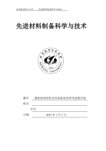 磁性纳米材料及其制备技术研究进展评述