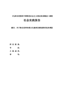 社会实践报告-关于陕北优秀传统文化继承发展创新状况的调查