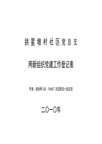 社区两新组织党建工作登记表4-2