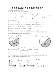 聊城市青岛版七年级下册数学期末测试及答案