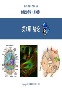 细胞生物学(翟中和第四版)第1章--绪论