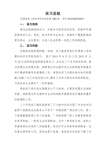 税务部门的实习总结