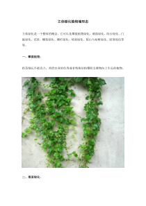 立体绿化植物墙形态