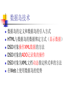 第10讲数据岛技术