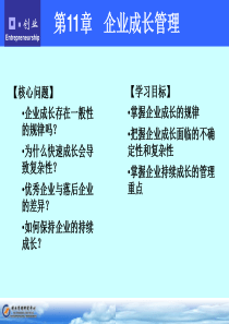 第11章企业成长管理.