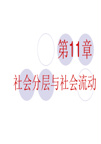 第11章社会分层与社会流动.