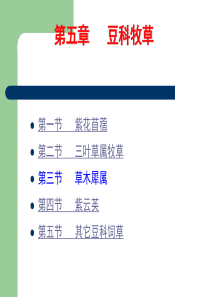 第14课豆科牧草第三节草木犀.