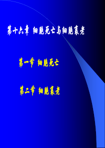 第16章细胞死亡与细胞衰老.