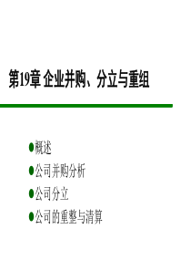 第17章企业并购分立与重组