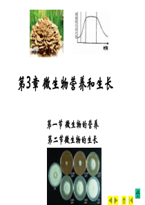 第3章微生物营养和生长(3学时)