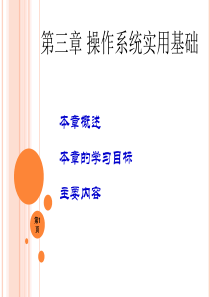 第3章操作系统实用基础