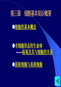 第3章细胞的统一性与多样性-3版