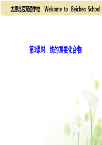 第3课时铁的重要化合物.