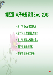 第4章Excel工作表