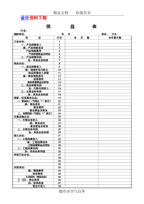 损益表表格