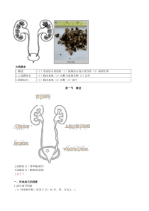 第六章 尿路结石