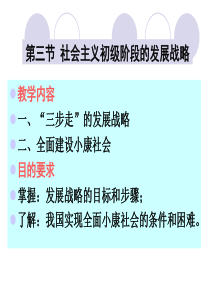 第六章第三节发展战略