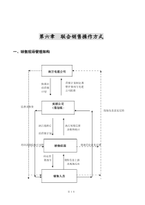 第六章联合销售操作方式