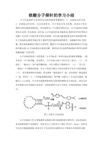 第六章郭汝庆