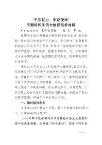 2019年党支部专题组织生活会个人检视剖析材料--修订稿