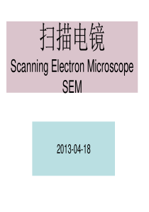 电镜_SEM