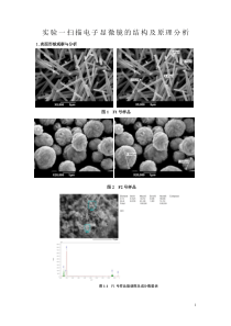 电镜的结构及原理分析报告