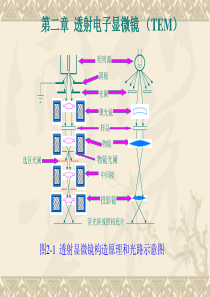 电镜第二章.